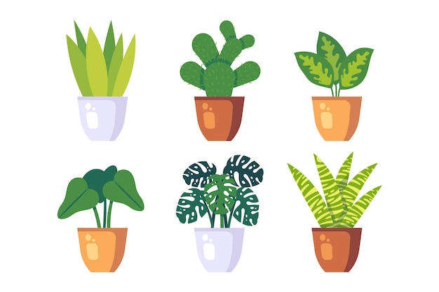 Flat houseplant collection