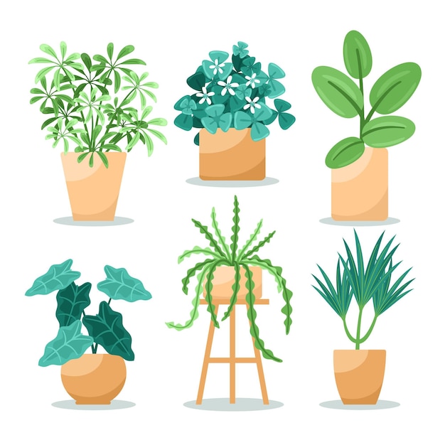 Free vector flat houseplant collection