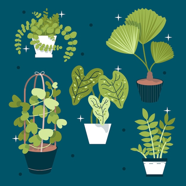 Free Vector flat houseplant collection