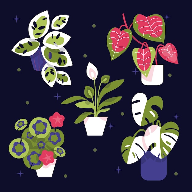 Free Vector flat houseplant collection