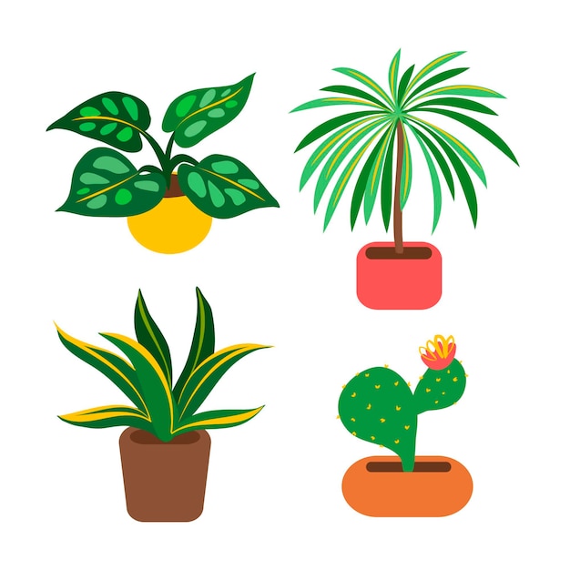 Free Vector flat houseplant collection