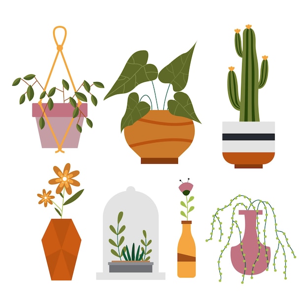 Flat houseplant collection