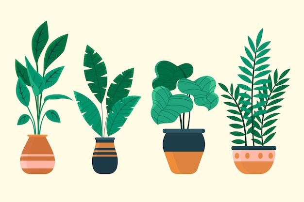 Flat houseplant collection