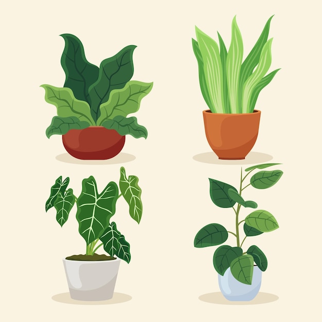 Free Vector flat houseplant collection