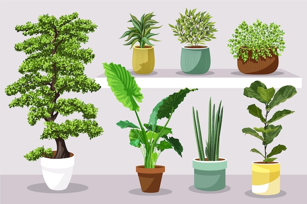 Free Vector flat houseplant in pots set