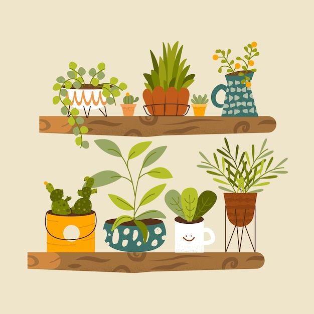 Flat houseplants illustrated collection