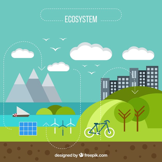 Flat infographic ecosystem concept