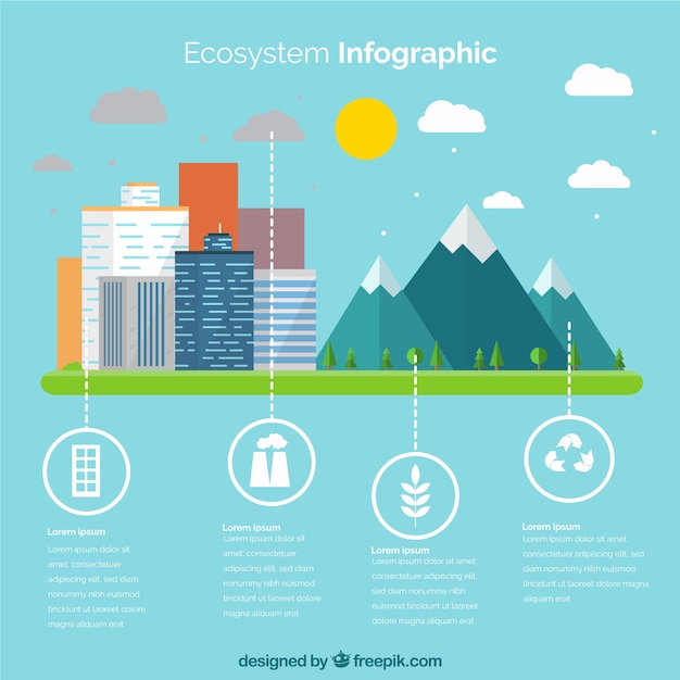 Flat infographic ecosystem concept