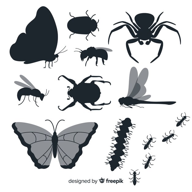 Flat insect silhouette collection