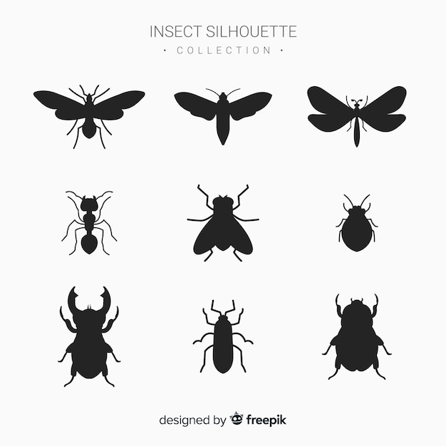 Flat insect silhouettes collection