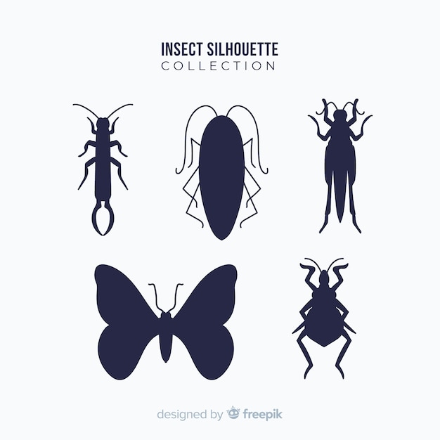 Flat insect silhouettes collection