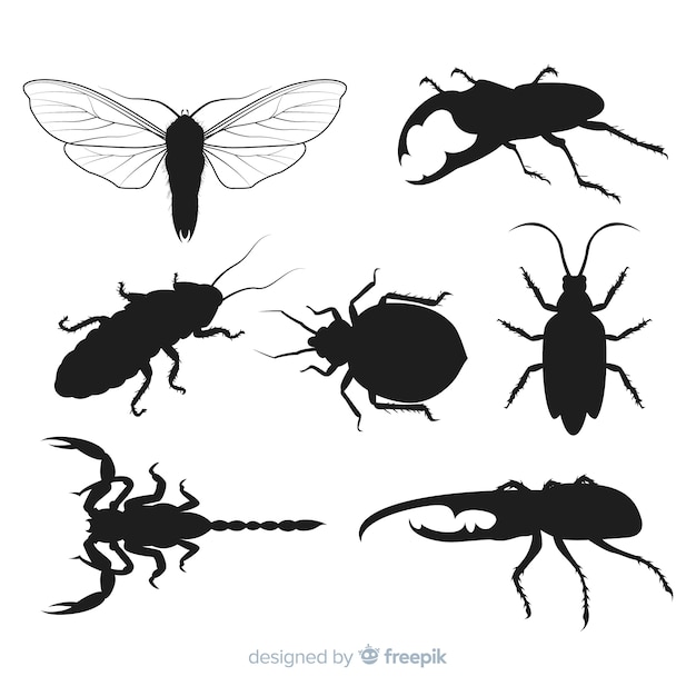 Flat insect silhouettes collection