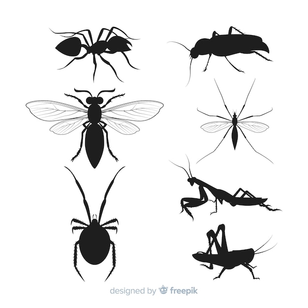 Free vector flat insect silhouettes collection