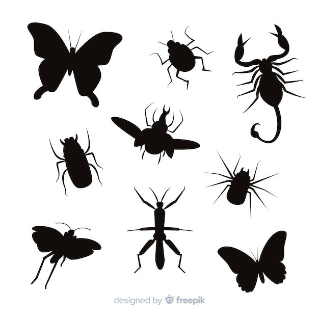 Flat insect silhouettes collection