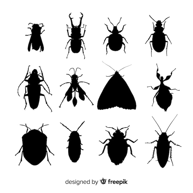 Free Vector flat insect silhouettes collection