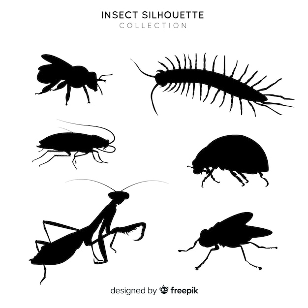 Flat insect silhouettes collection