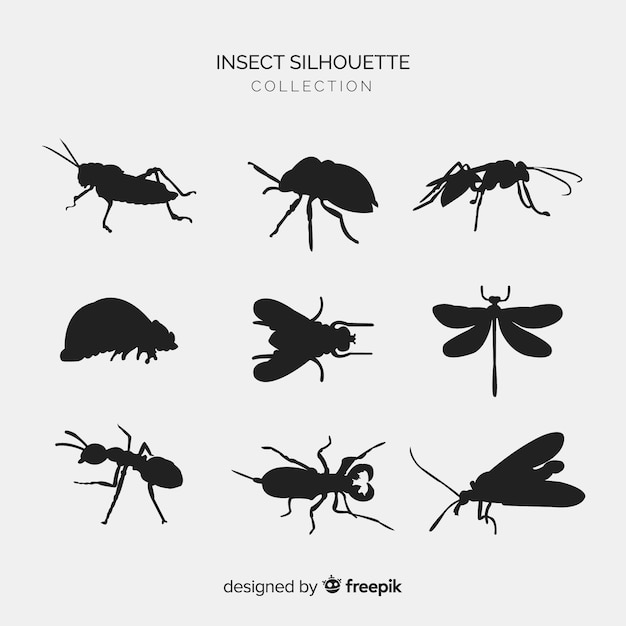 Flat insect silhouettes collection