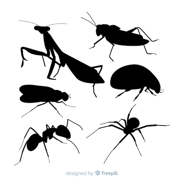 Flat insect silhouettes collection