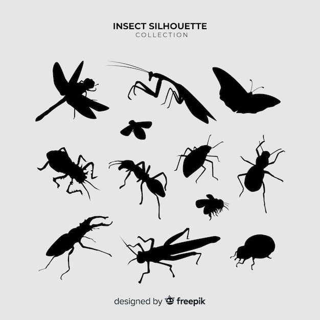 Flat insect silhouettes collection