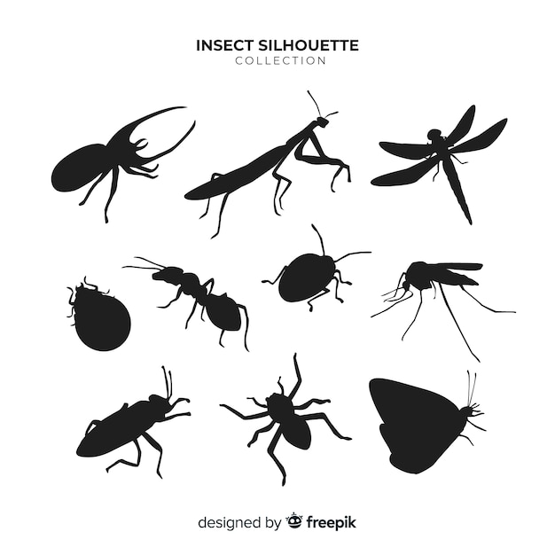 Flat insect silhouettes collection