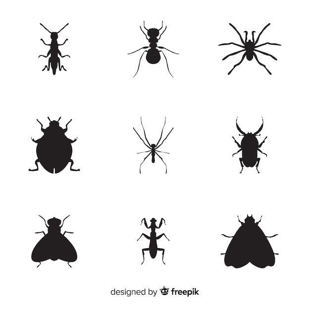 Flat insect silhouettes collection