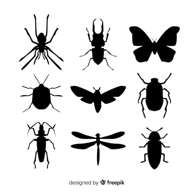 Flat insect silhouettes collection