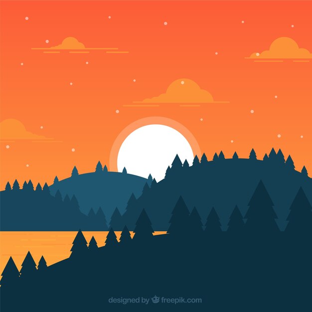 Flat landscape of forest at sunset