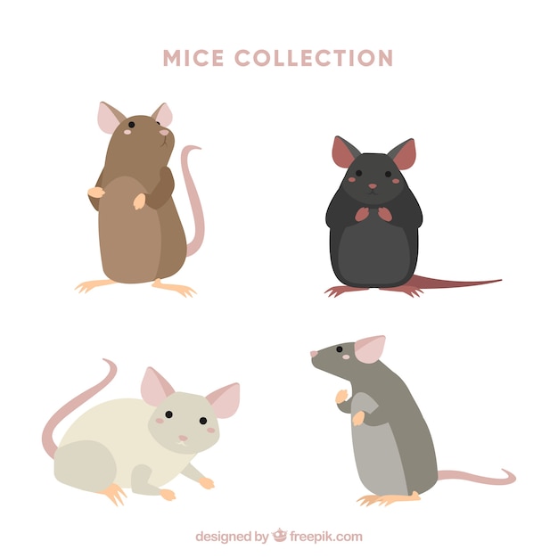 Free Vector flat mice collection with different poses