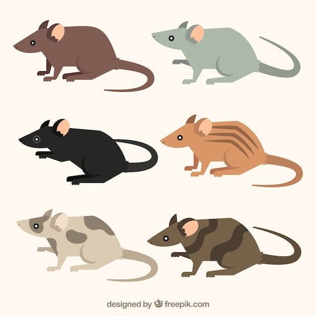 Flat mice collection with different poses