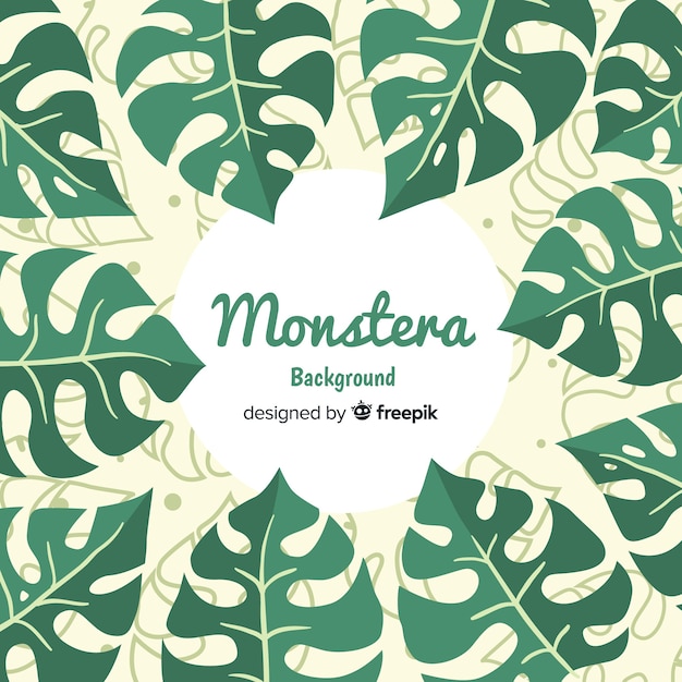 Free Vector flat monstera background