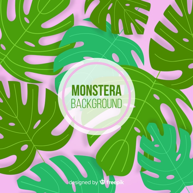 Flat monstera leaves background