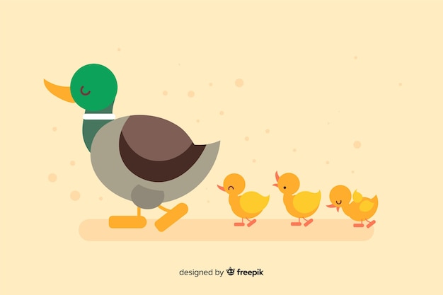 Free vector flat mother duck and ducklings on empty background