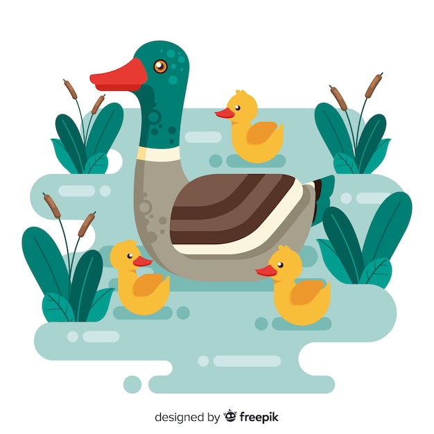 Flat mother duck and ducklings on water