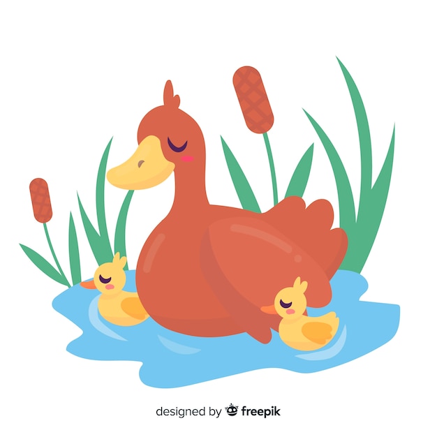 Flat mother duck and ducklings on water