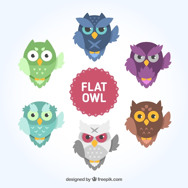 Free Vector flat owl collection