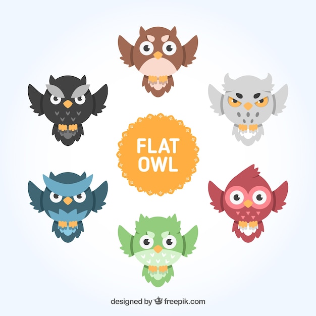 Free Vector flat owl collection