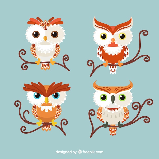 Free Vector flat owl collection