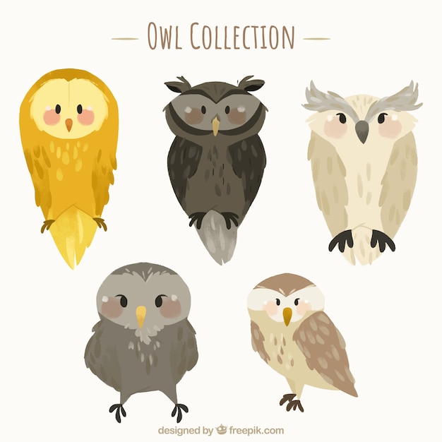 Free Vector flat owl collection