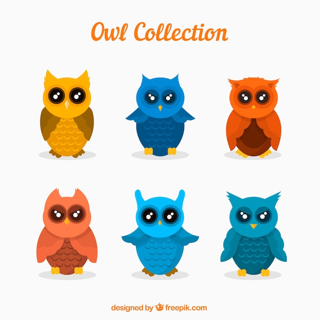 Flat owl collection