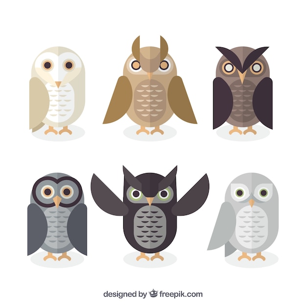 Free vector flat owl set of six