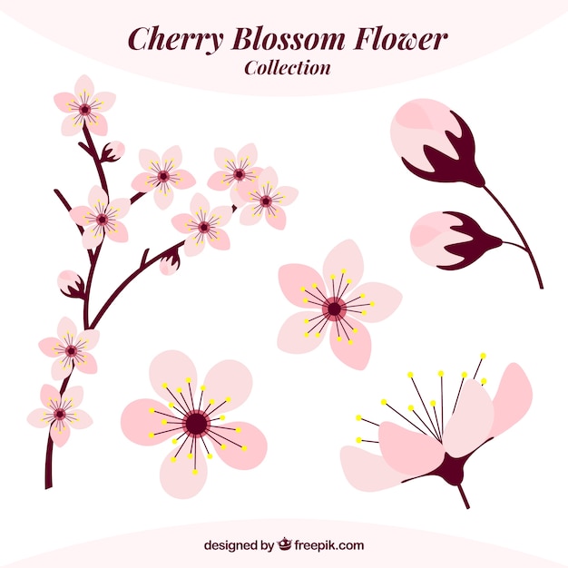 Free vector flat pack of pretty cherry blossoms