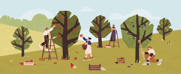 Free Vector flat people gathering fruits in orchard into wooden baskets