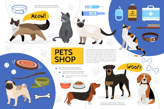 Flat pet shop infographic template 