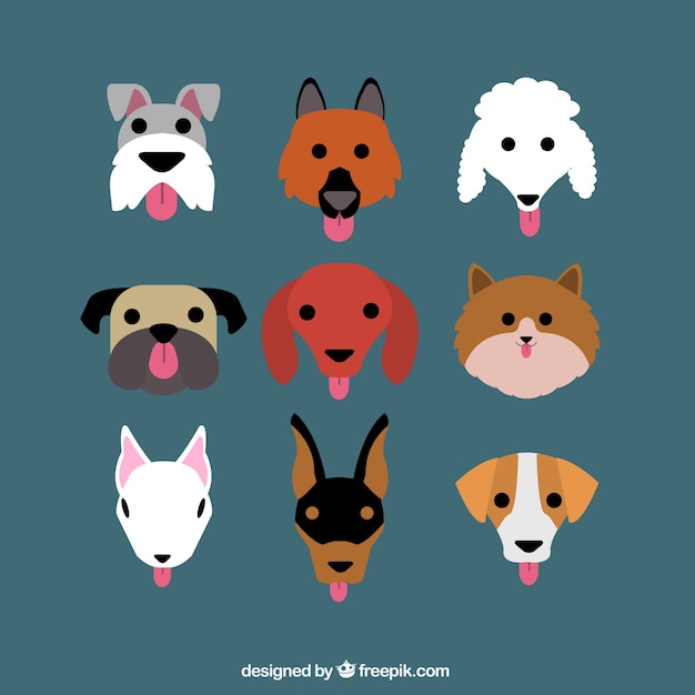 Free Vector flat selection of nine dogs with variety of breeds