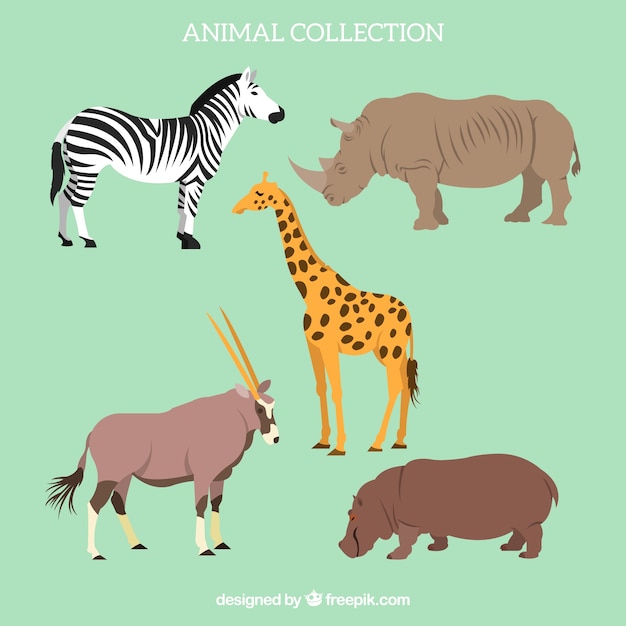 Flat set of african animals