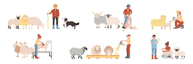 Free Vector flat set of people feeding shearing looking after sheep on farm isolated vector illustration