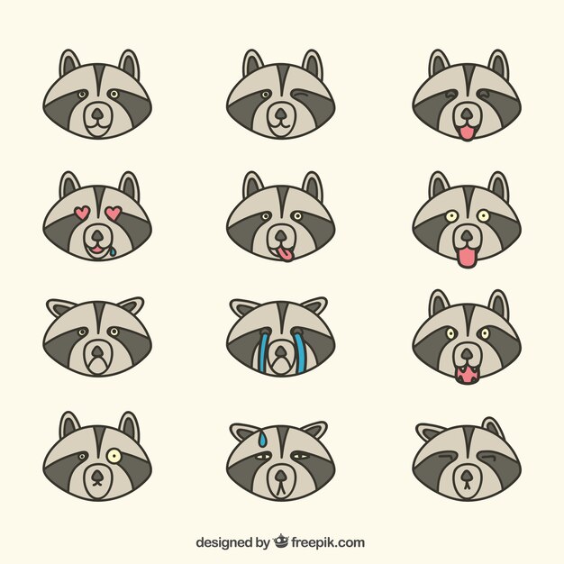 Flat set of raccoon emoticons