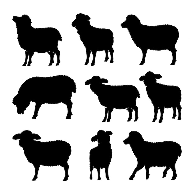 Flat sheep silhouettes collection