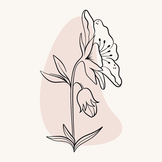 Flat simple flower outline illustration