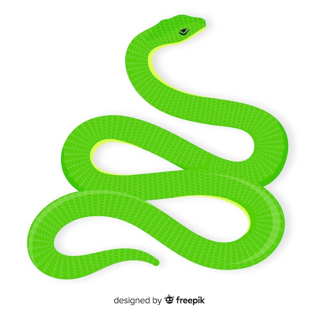 Flat snake background